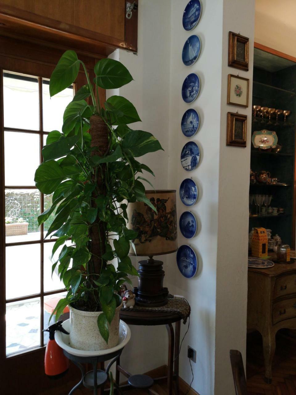 Wanderlust Bnb Pisa Exterior foto